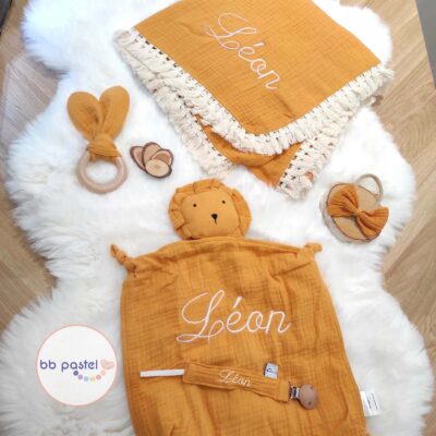 coffret maxi lion ocre